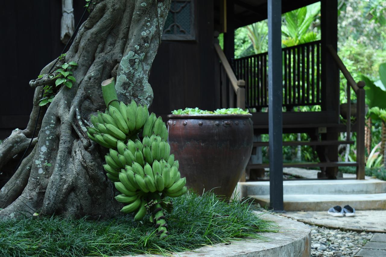 Mae Nai Gardens Villa Ban Mae Mae Exterior photo